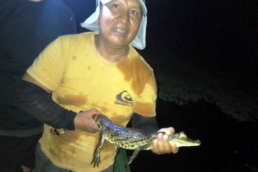 Yarapa River 2-Day Ecotourism Experience: Dolphins, Jungle & Cultural Immersion